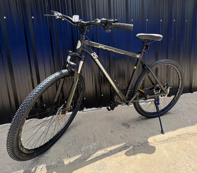 Bicicleta Fiat Rodado 29