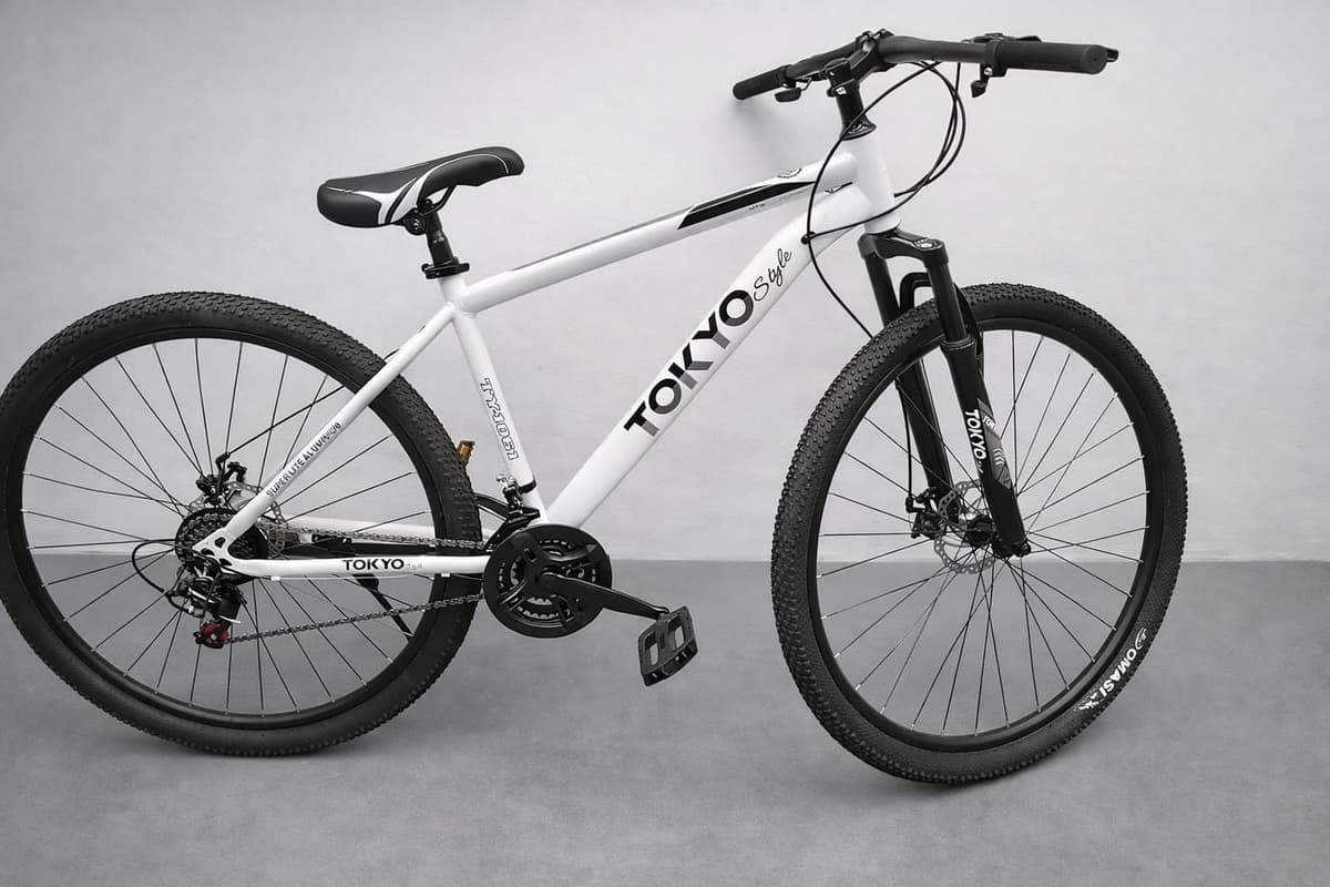 Bicicleta Tokyo R29