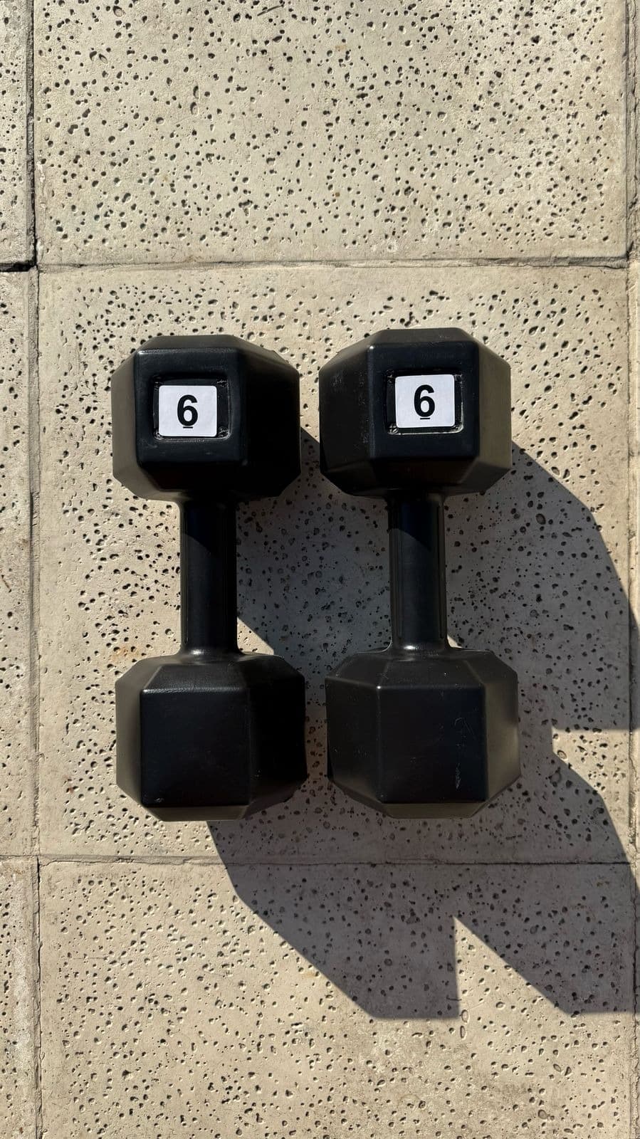 Par de Mancuernas de 6kg