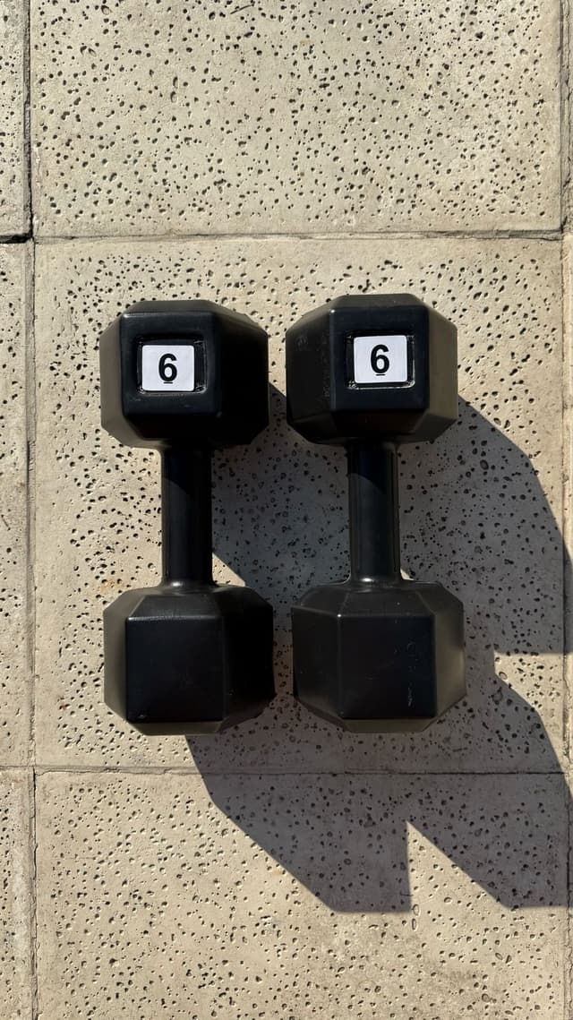 Par de Mancuernas de 6kg