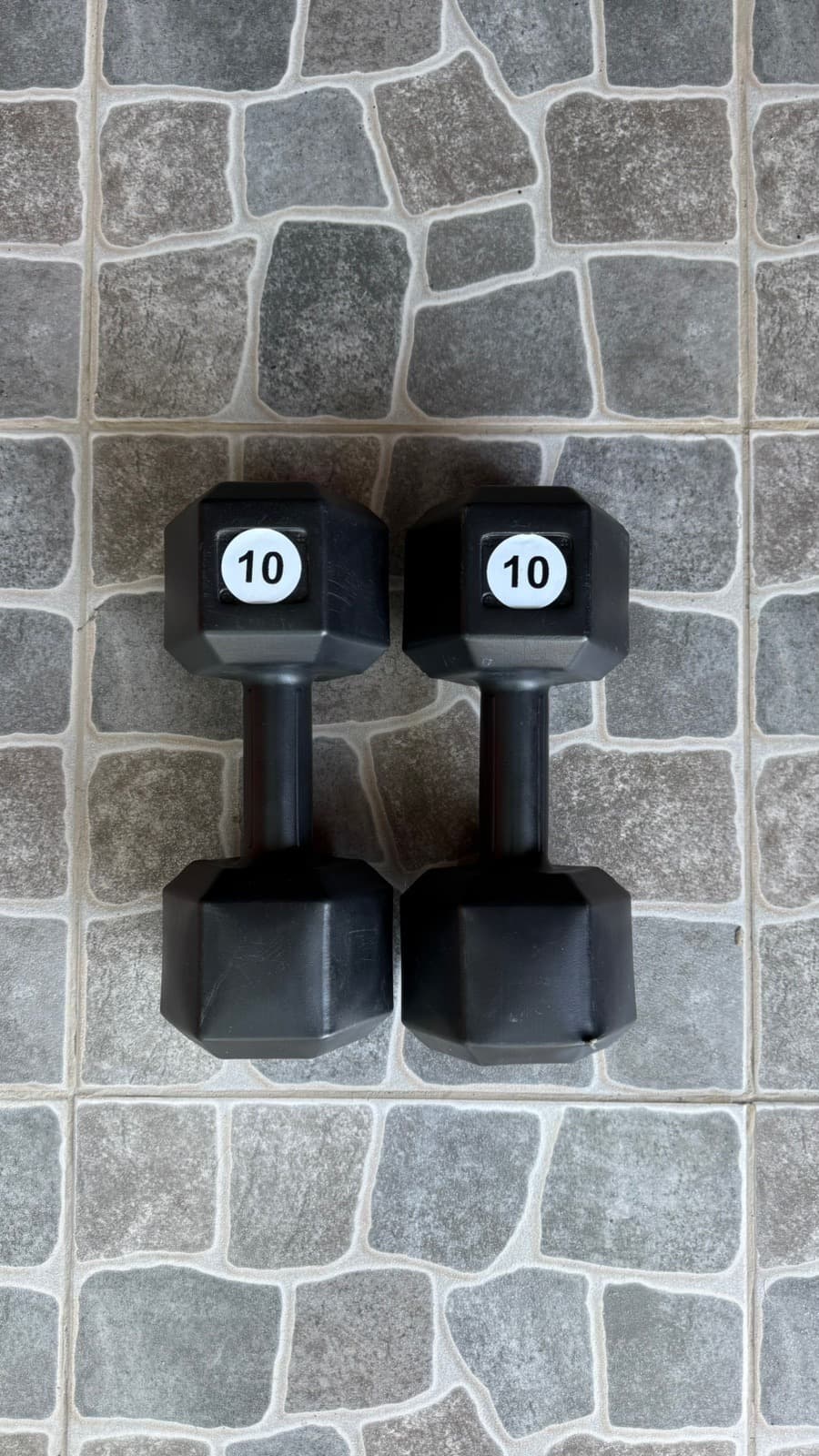 Par de Mancuernas de 10kg