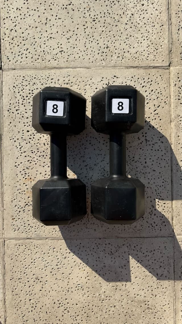 Par de Mancuernas de 8kg