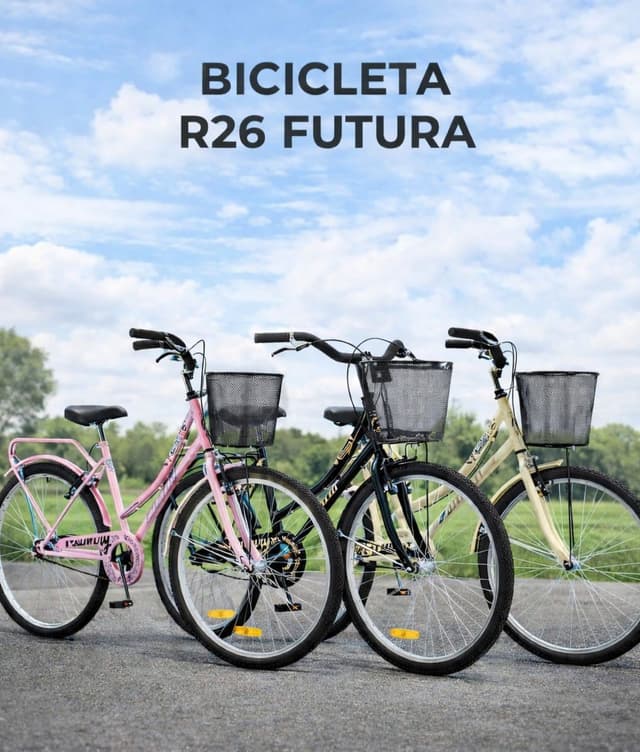 Bicicleta Futura Rodado 26